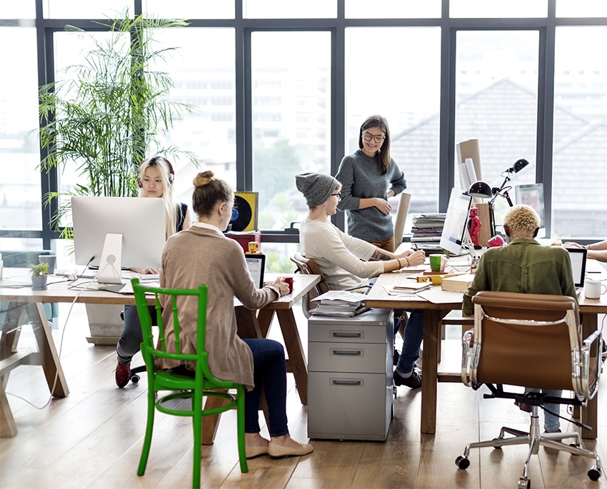 cafe advertising agency - ad management