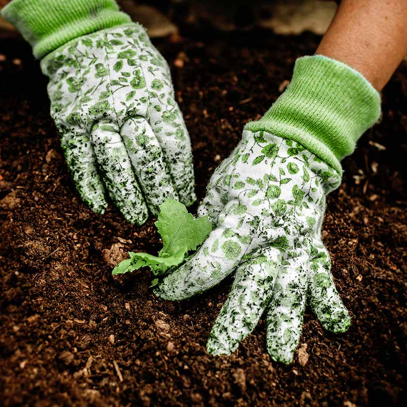 paid search digital agency