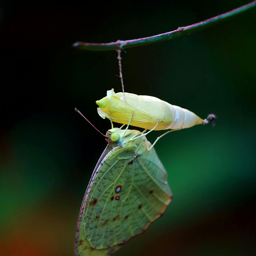 performance media agency